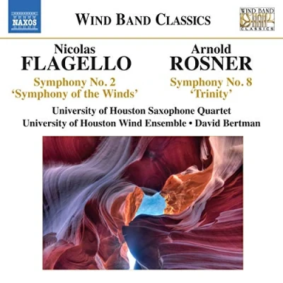 Afbeelding van University Of Houston Saxophone Qua Flagello/Rosner; Symp. No. 2 / Symp (CD)