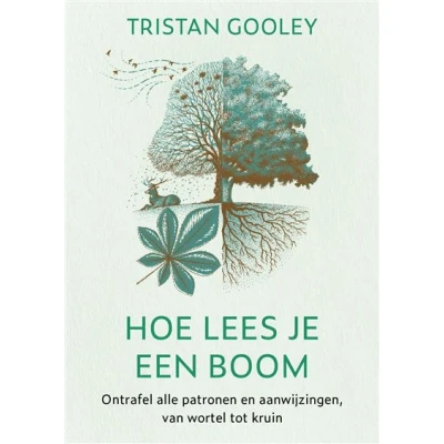 Image de Hoe lees je een boom