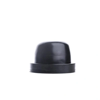 Afbeelding van EINPARTS EPC10 Kap, koplamp