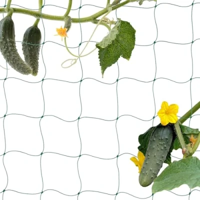 Afbeelding van Relaxdays klimnet voor planten 200 x 1000 cm klimgaas sierplanten gewassen PE