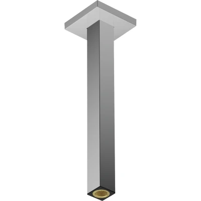 Afbeelding van Hansgrohe Pulsify plafondaansluiting E 30 cm