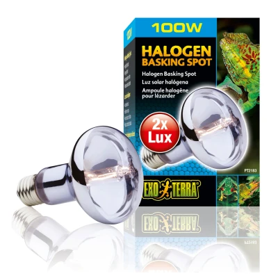 Afbeelding van Exo Terra Halogen Basking Spot E27 Verlichting 100 Watt Daylight