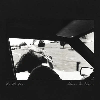 Afbeelding van Sharon Van Etten Are We There