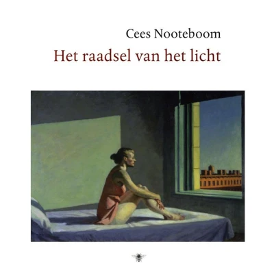 Afbeelding van het raadsel van licht