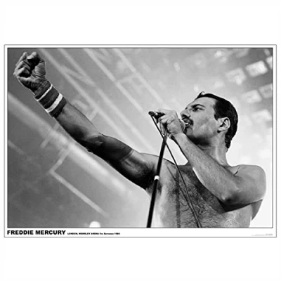Afbeelding van Queen Freddie Mercury Wembley Arena, London 1984 Poster meerkleurig Unisex