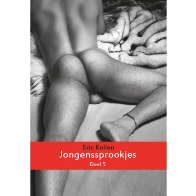 Afbeelding van Homo erotische verhalen