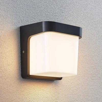 Afbeelding van LED buitenwandlamp Adenike zonder sensor