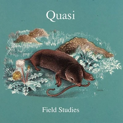 Afbeelding van Quasi Field Studies