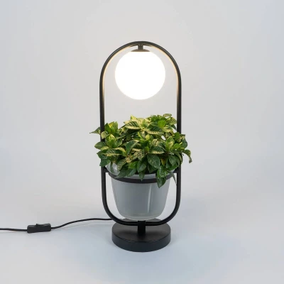 Afbeelding van Lindby Tafellamp 1licht ijzer, glas H: 50 cm G9 zwart, opaal
