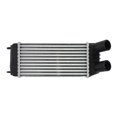 Afbeelding van THERMOTEC DAP006TT Intercooler PEUGEOT: Expert II Van, Tepee, CITROËN: Dispatch FIAT: Scudo
