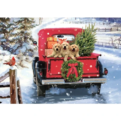 Afbeelding van Bringing Home the Tree Deluxe Boxed Holiday Cards (20 Cards, 21 Self Sealing Envelopes)