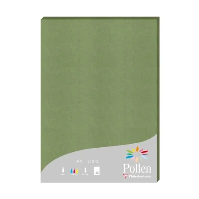 Image de Clairefontaine 24270C Un Étui de 25 Feuilles Format A4 (21x29,7cm) 210g/m² Coloris Vert Sauge Papier d&#039;Invitation Evènements et Correspondance Gamme Pollen Premium Lisse