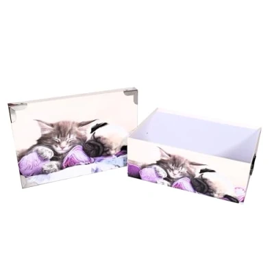 Afbeelding van Hond Set van 3 Grote Kartonnen Opbergdozen Print Deco Huisdieren Puppy&#039;s Vintage Zwart en Wit met Metalen Hoeken Handvatten. Maten: 38 x 26,5 14, 40 28,5 15, 42 30 16 cm