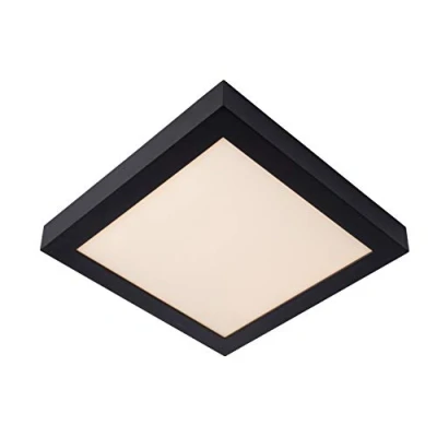 Afbeelding van Lucide BRICE LED Plafonnière Badkamer Dimb