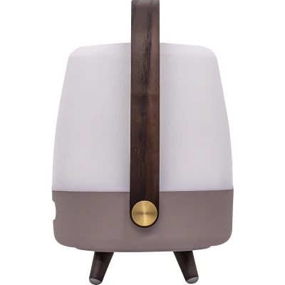 Afbeelding van Kooduu Lite up Play Mini JBL Earth Tafellamp Bluetooth speaker Led Lamp