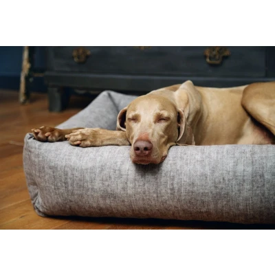 Afbeelding van Designed by Lotte Unnay Hondenmand Beige 95x80x25 cm