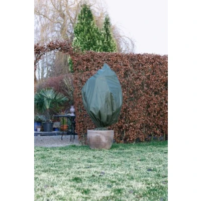Afbeelding van Wovar Beschermhoes Planten met Koord Groen Ø100 x 150 cm Per Stuk