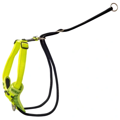 Afbeelding van Rogz Utility Stop Pull Tuig Geel Hondenharnas 60 100x2.5 cm