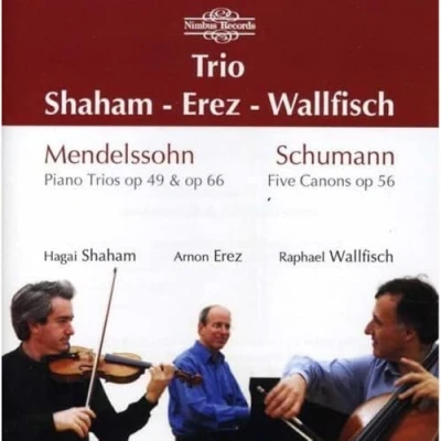 Afbeelding van Shaham, Erez, Wallfisch Mendelssohn, Schumann: Piano Trios, (CD)