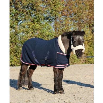 Image de HB Harry and Hector Couverture de Concours Dutch Crown Little Sizes Marin 83/105