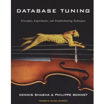 Afbeelding van Database Tuning