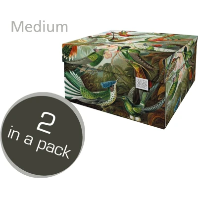 Afbeelding van Dutch Design Storage Box Medium Art of Nature Set 2 Groen / 30,8 x 23 15,5 cm FSC gecertificeerd golfkarton volledig recyclebaar