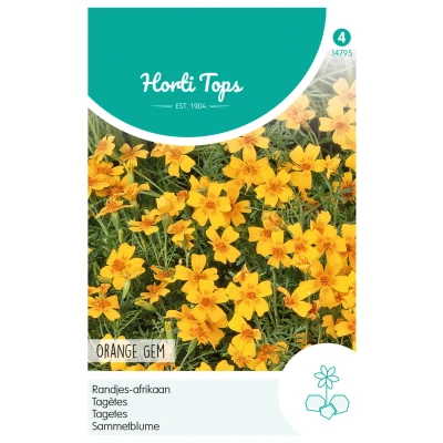 Afbeelding van Hortitops Tagetes Randjes Afrikaan Orange Bloemenzaden 0.75 g