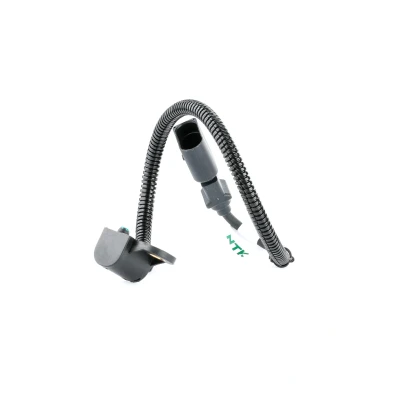 Afbeelding van NGK 81024 Sensoren VOLKSWAGEN: Polo IV Hatchback, Golf 4, Touran I, SEAT: Leon I Ibiza 3, Córdoba II Saloon, SKODA: Fabia 1 Combi