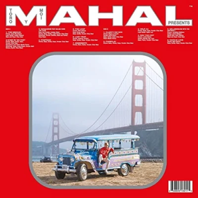 Afbeelding van Toro Y Moi Mahal (LP)