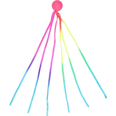 Afbeelding van Balletje met Regenbooglint