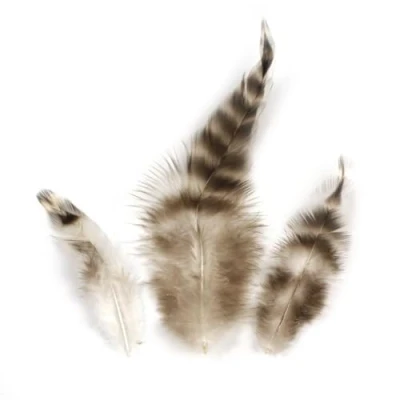 Afbeelding van Veren Chincilla 7,5 9cm 3 gram Rayher