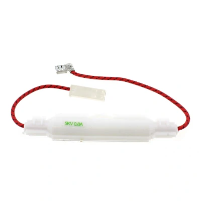 Image de Whirlpool Indesit 482000097127 zekering C00514163 fuse h v