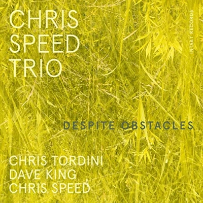 Afbeelding van Chris Speed Trio Despite Obstacles (CD)