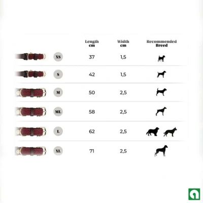 Afbeelding van Kentucky Horsewear Dogwear Hondenhalsband Gevlochten Nylon Bordeaux Maat S 42cm