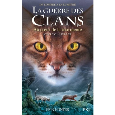 Image de la guerre des clans, Cycle VI Tome 6 Au coeur de tourmente