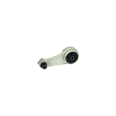 Afbeelding van DELPHI TEM013 Aslichaam / motorsteunlager RENAULT: Kangoo I, I Express