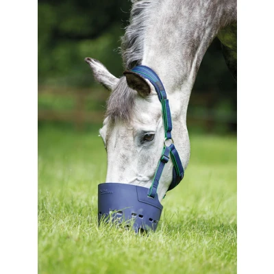 Image de Muselière Flexi Grazer Navy Poney