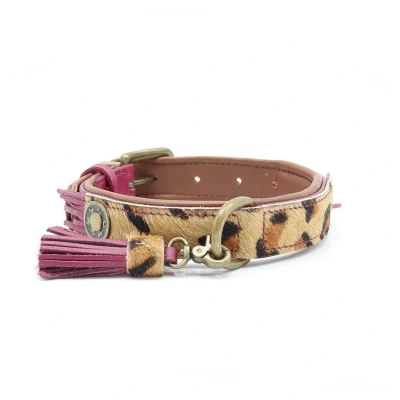 Afbeelding van Dwam Halsband Lou Paars Hondenhalsband 43 48x4 cm