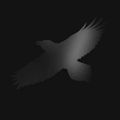 Afbeelding van Sigur Ros Odin&#039;s Raven Magic (2 LPs)