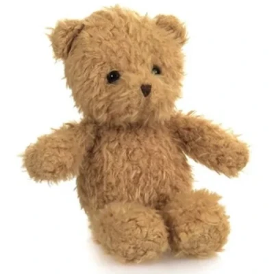 Afbeelding van Egmont toys knuffelbeer morris 19 cm