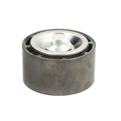 Afbeelding van DAYCO APV3064 Geleiderol