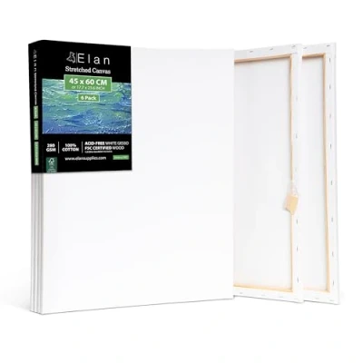 Afbeelding van Elan Schildersdoeken 45x60 CM, 6 Stuks Canvasdoeken 100% Katoenen Canvas voor Schilderen, Stretched Canvas, Painting Pre Primed Schilderdoek CM