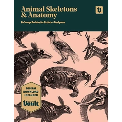 Afbeelding van Animal Skeletons and Anatomy