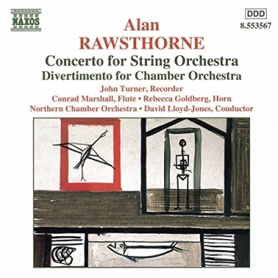 Afbeelding van Northern Chamber Orchestra Rawsthorne: Concerto For String (CD)