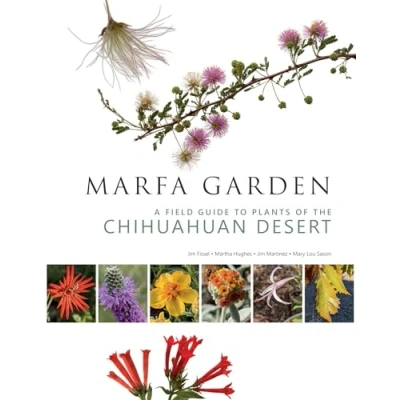 Afbeelding van Marfa Garden