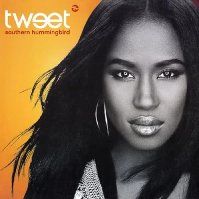 Afbeelding van Tweet Southern Hummingbird (2 LPs)