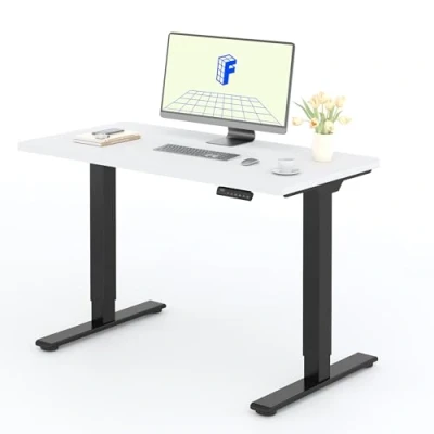 Afbeelding van FLEXISPOT 2 Motoren, Staand, 120 x 60 cm, eendelig, elektrisch stabureau met paneel geheugenfuncties, in hoogte verstelbaar bureau, belasting 100 kg, zwart + wit