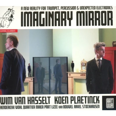 Afbeelding van Wim Van Hasselt Koen Plaetinck Imaginary Mirror (CD)