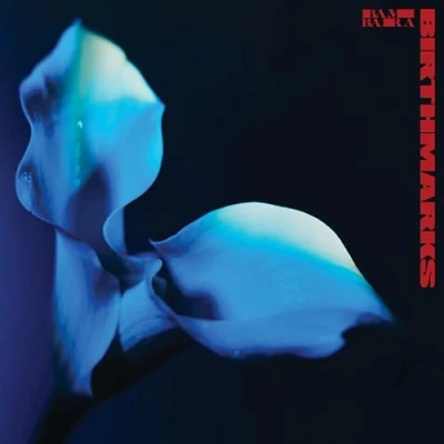 Afbeelding van Bambara Birthmarks (LP)