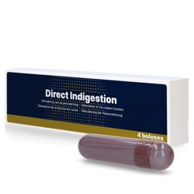 Afbeelding van Direct Indigestie Bolus